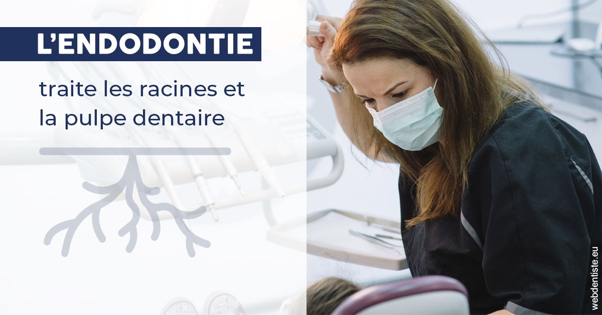 https://dr-gonnet-laurent.chirurgiens-dentistes.fr/L'endodontie 1