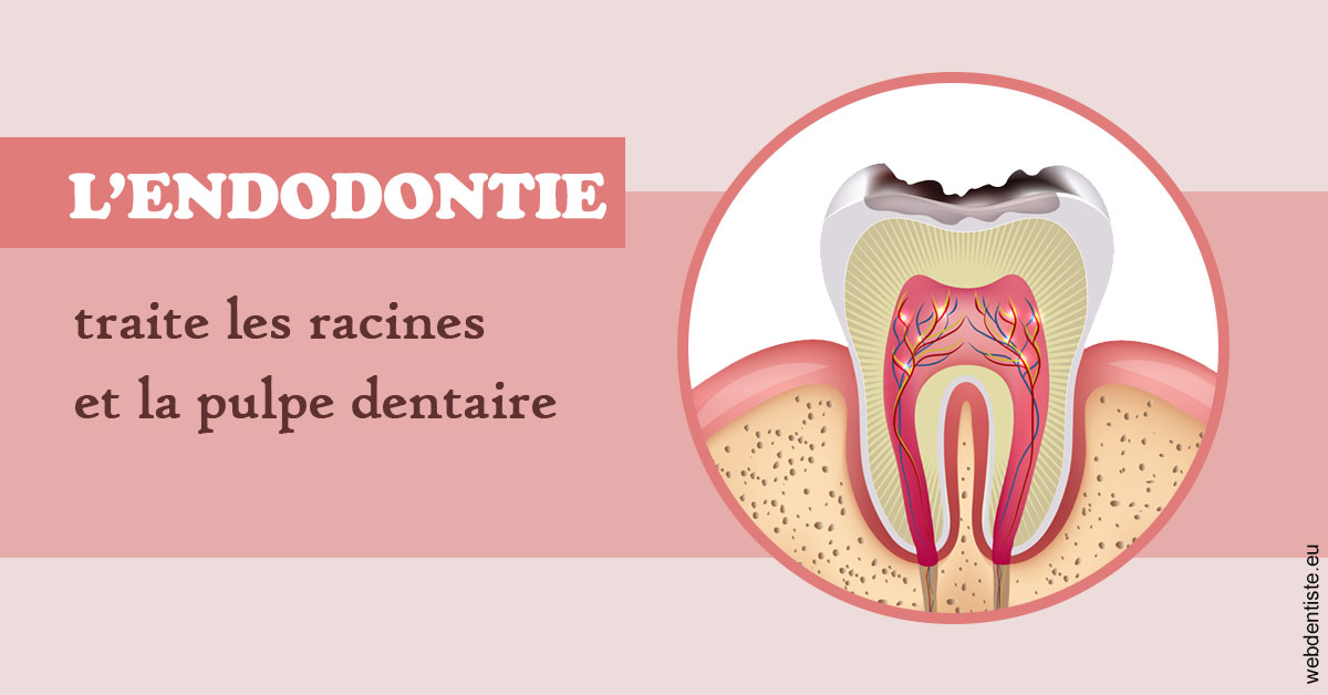 https://dr-gonnet-laurent.chirurgiens-dentistes.fr/L'endodontie 2