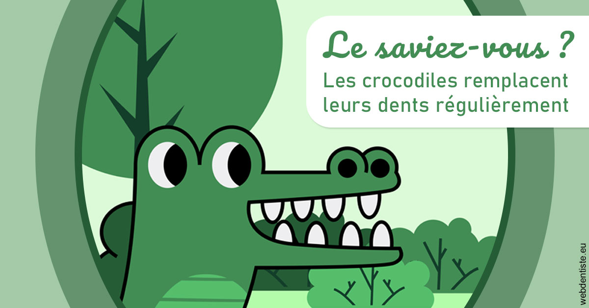 https://dr-gonnet-laurent.chirurgiens-dentistes.fr/Crocodiles 2