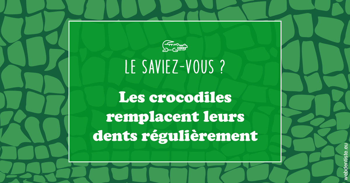 https://dr-gonnet-laurent.chirurgiens-dentistes.fr/Crocodiles 1